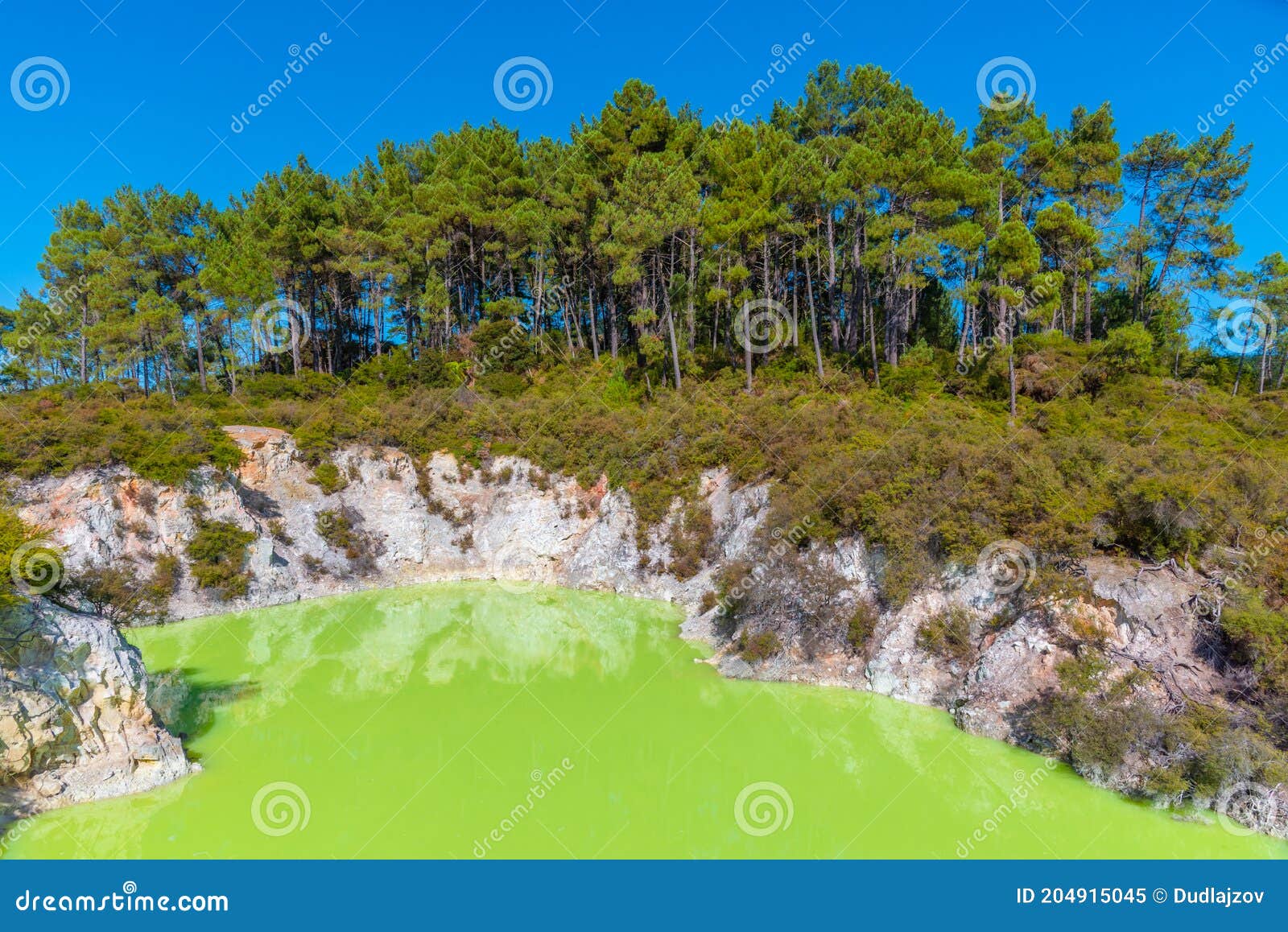 roto karikitea lake at wai-o-tapu in new zealand