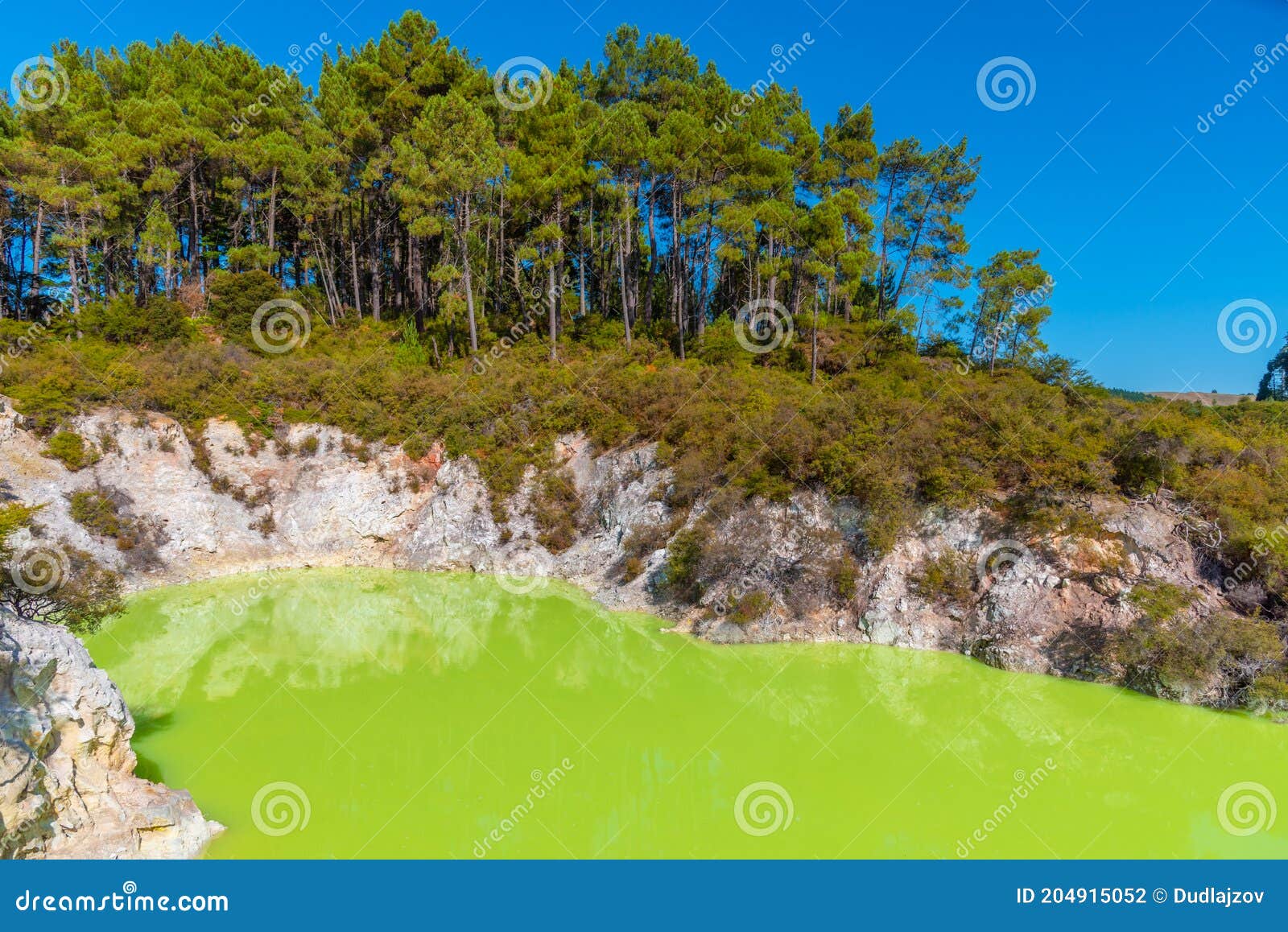 roto karikitea lake at wai-o-tapu in new zealand