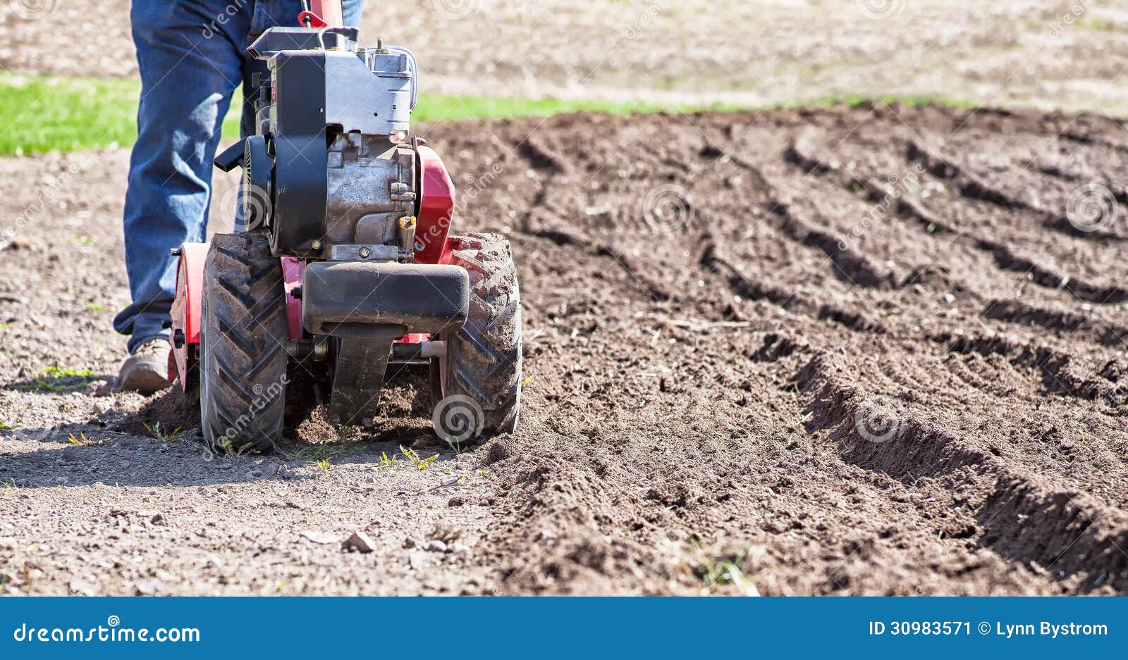 Rototiller Cultivator in the Garden Stock Image Image of rototiller