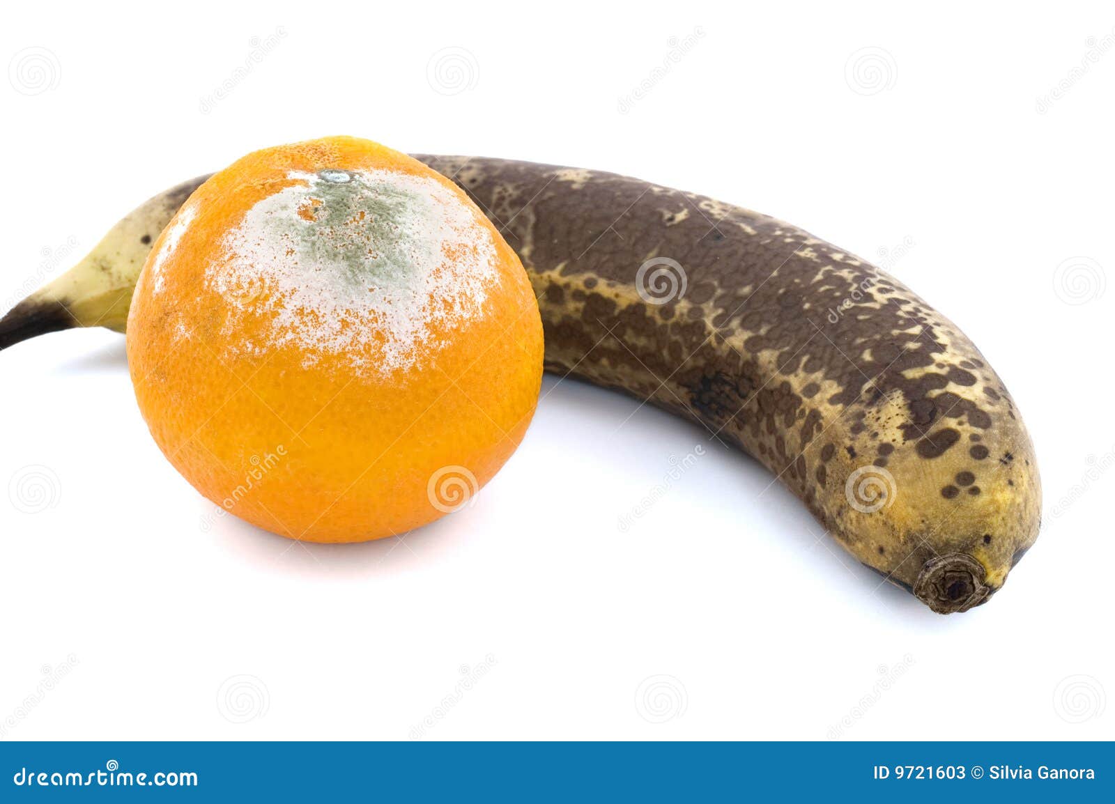 Rotten fruit – License Images – 550221 ❘ StockFood