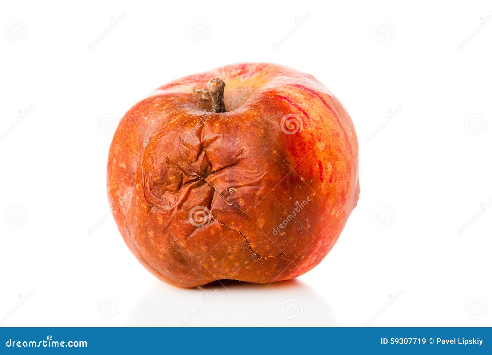 Rotten apple closeup stock image. Image of 59307719