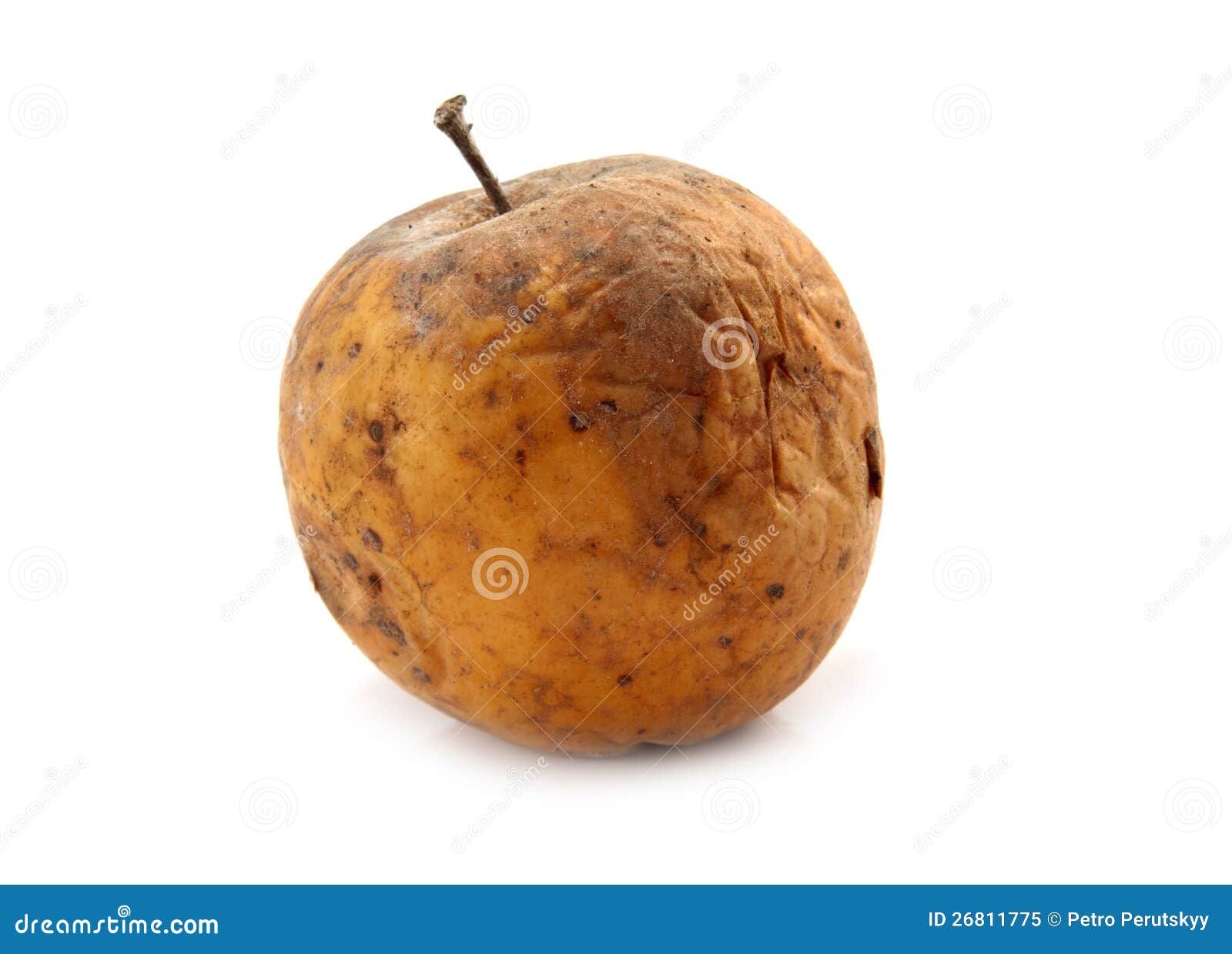 Rotten apple isolated stock image. Image of aging, putrid 26811775
