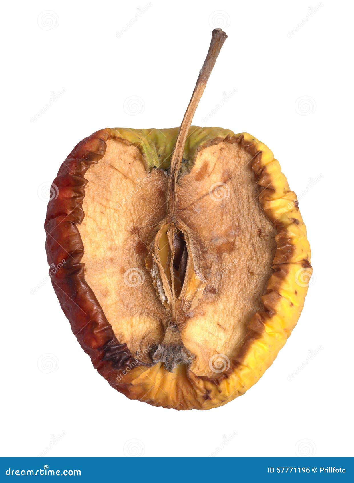 Rotten apple stock photo. Image of condition, aged, nutriment 57771196