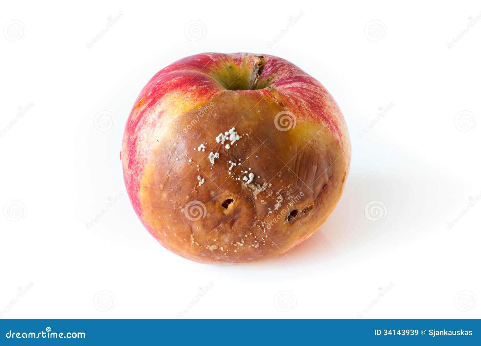 6,727 Rotten Apple Stock Photos - Free & Royalty-Free Stock Photos from  Dreamstime