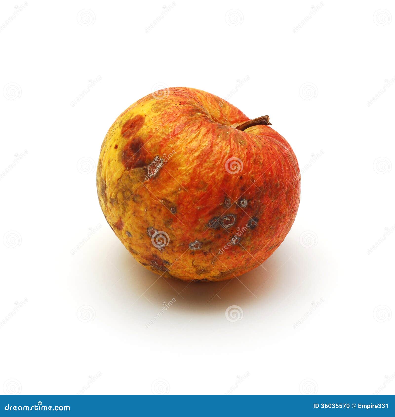 clipart rotten apple - photo #12