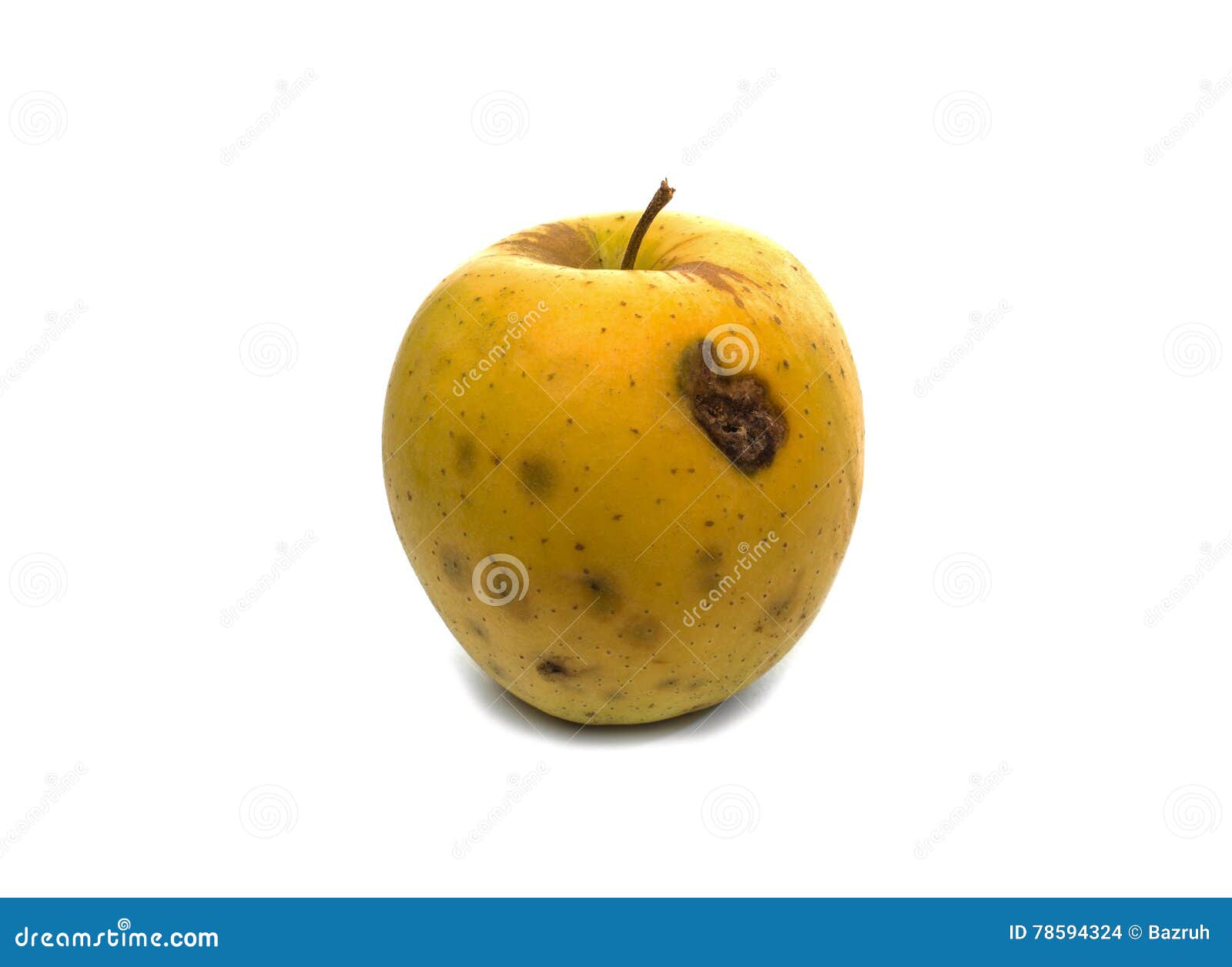 Rotten apple stock photo. Image of apple, fungi, 78594324