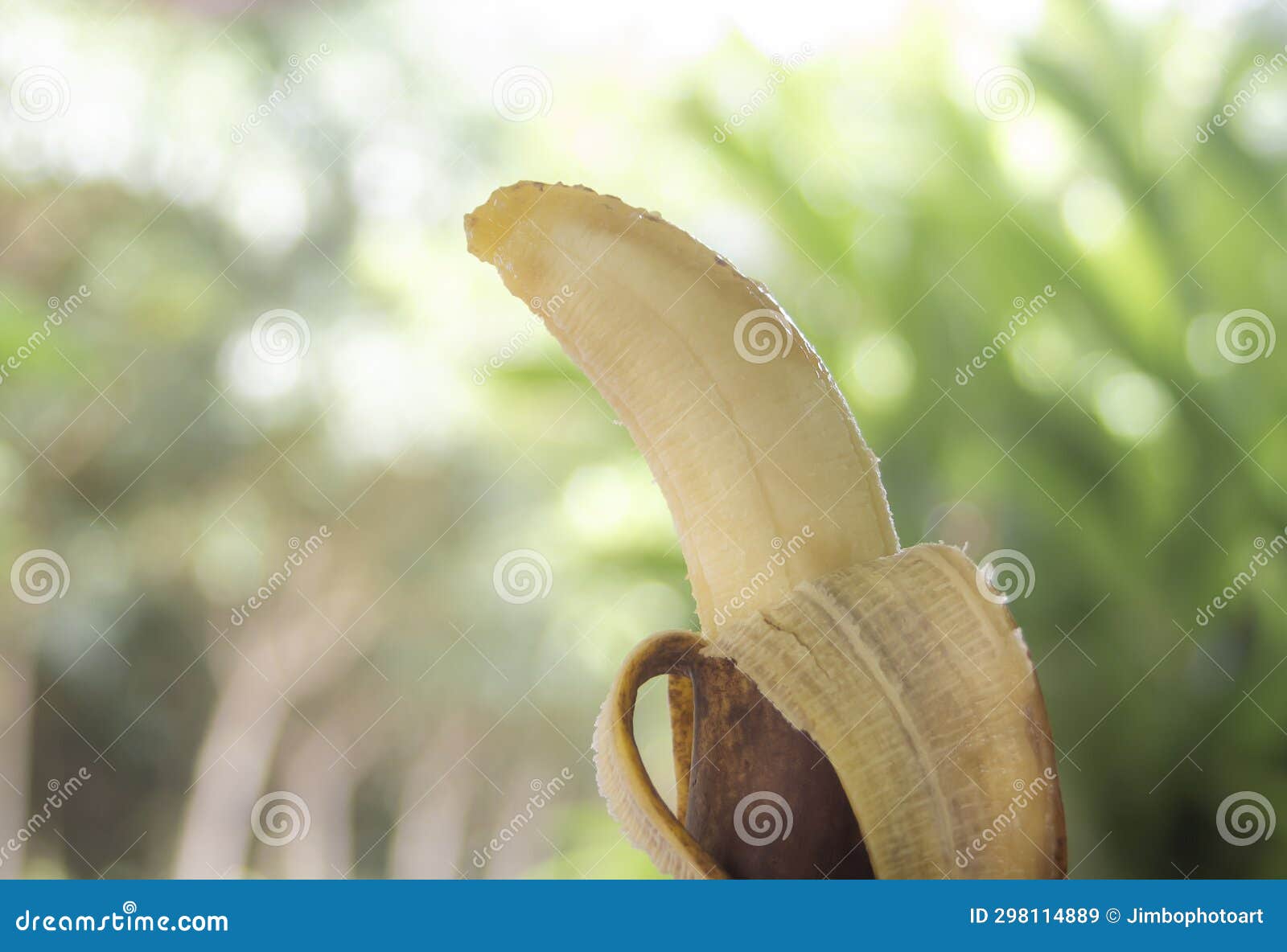 Rotten Banana on Blurred Bokeh Nature Stock Image Image of putrid
