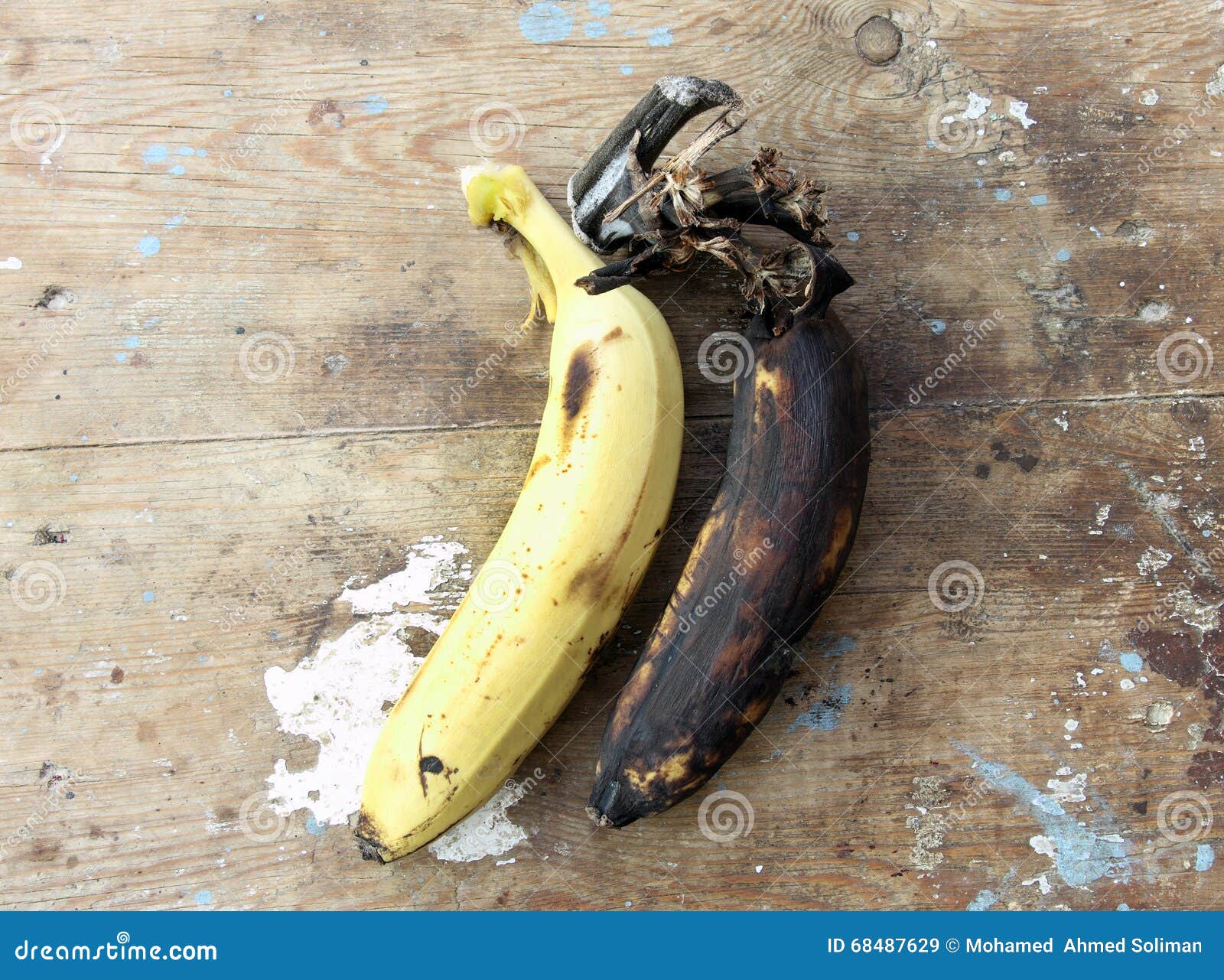 Rotten Banana with Healthy One Stock Image - Image of eating, banana ...