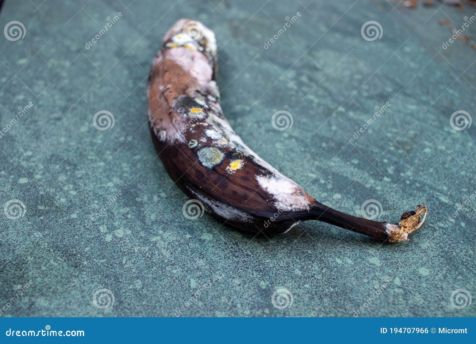 Rotten Banana, Mouldy Fruit on Marble Background Stock Photo Image of