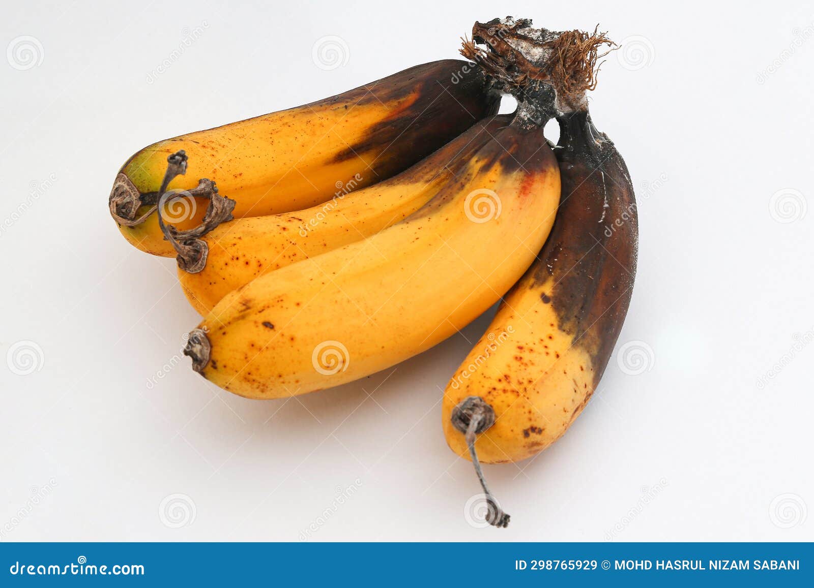 Rotten bananas stock image. Image of fungus, white, fruit 298765929