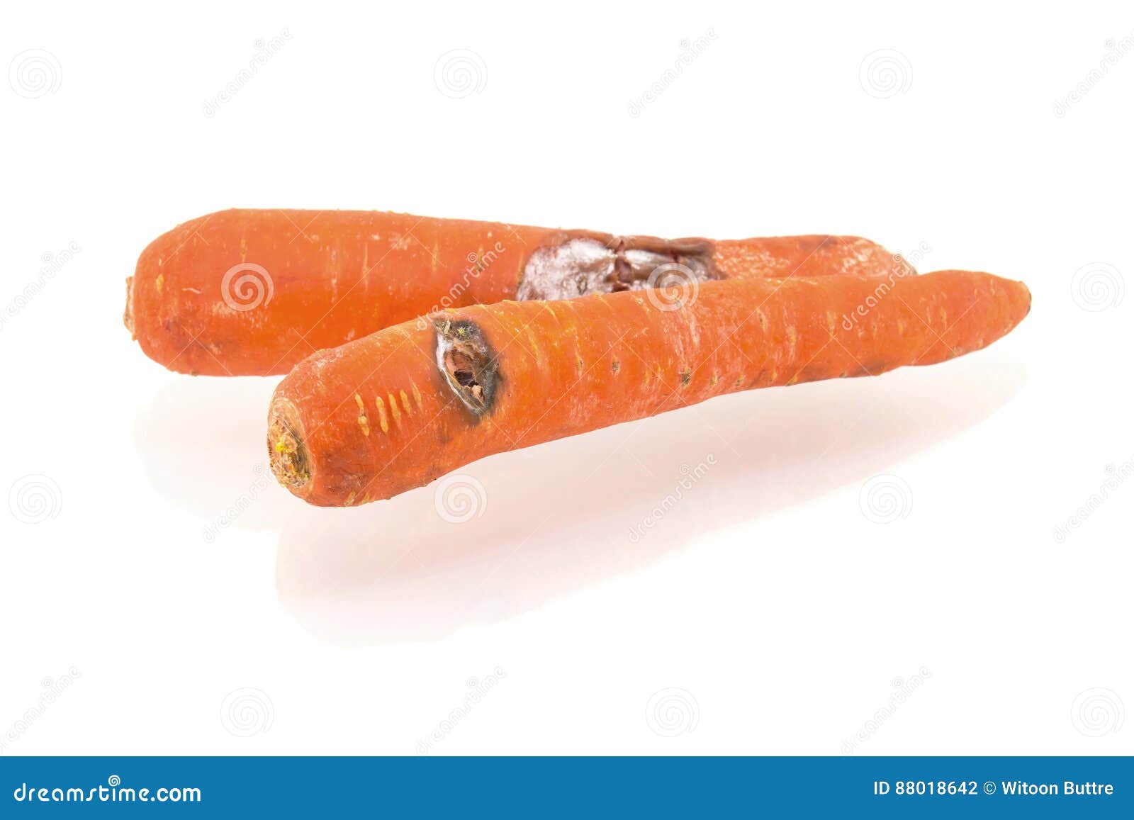 Rotten carrot isolated stock photo. Image of color, dermis 88018642