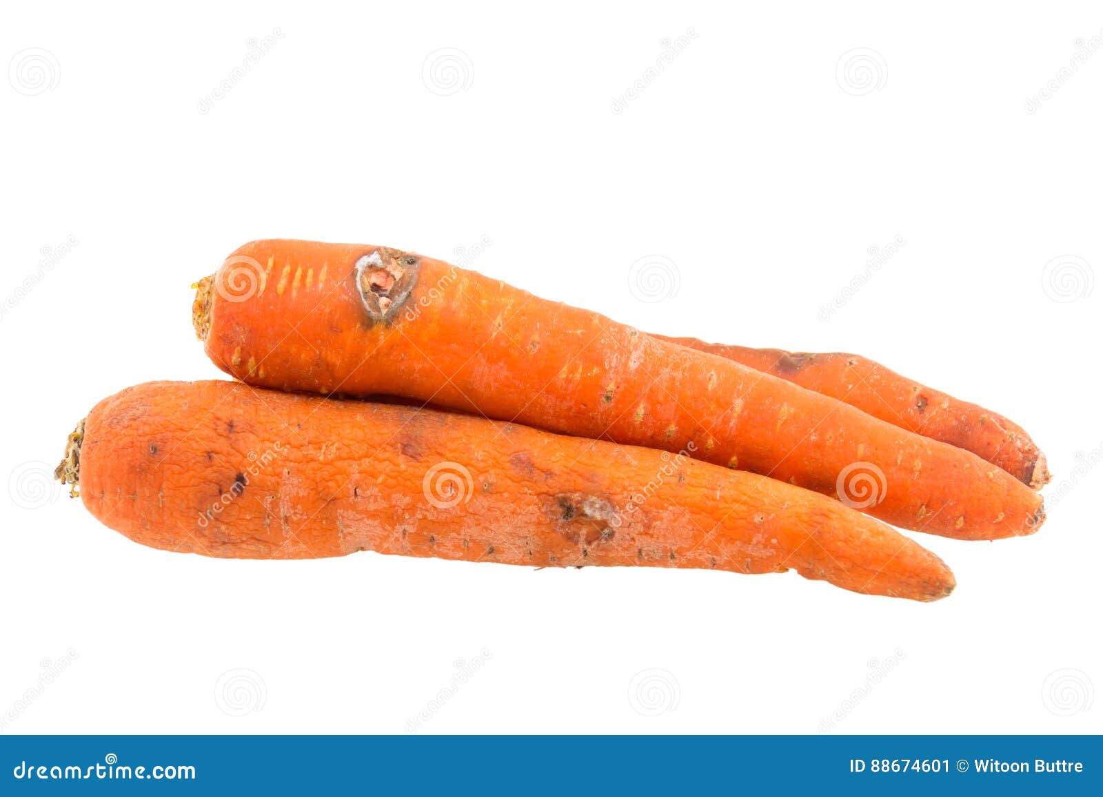 Rotten carrot isolated stock image. Image of aging, damage 88674601