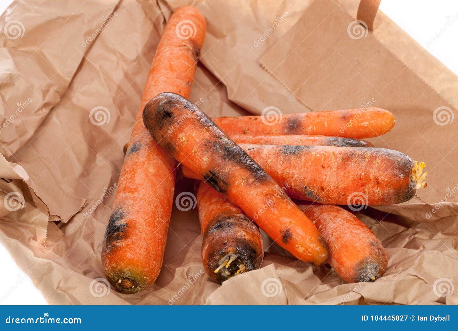 rotten carrots. wasted black and mouldy vegetables. gone off foo