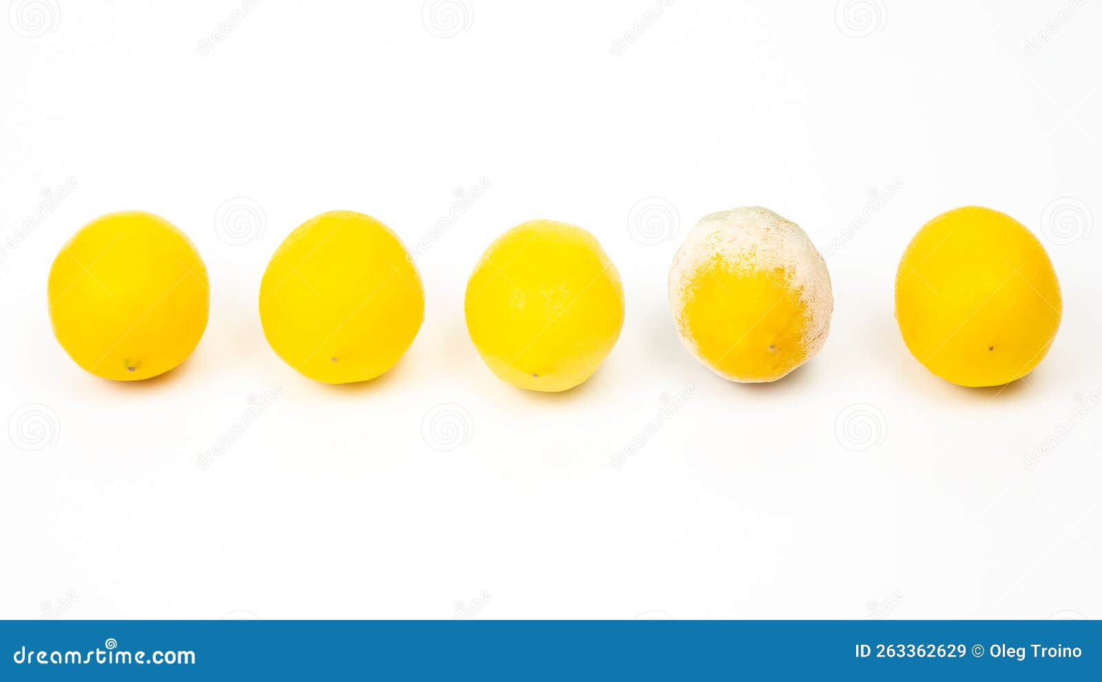 Rotten Lemon Next To Fresh Lemons on a White Background Stock Image
