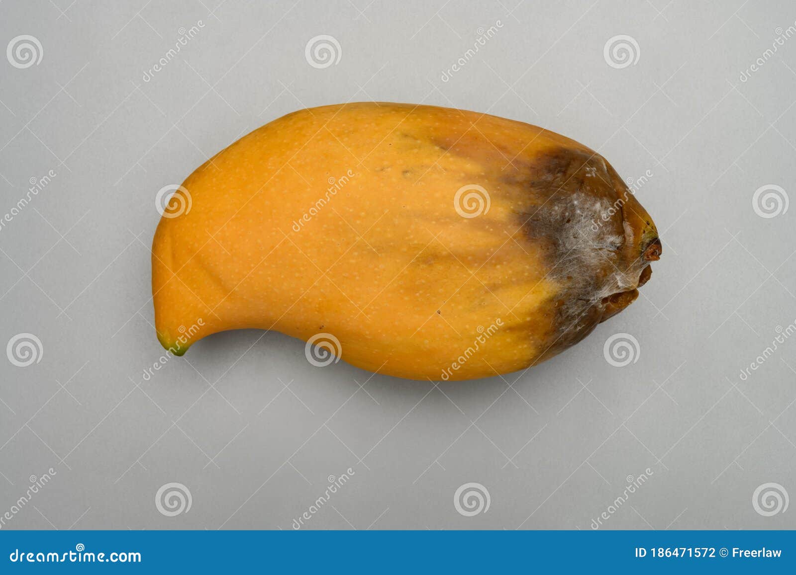 Rotten mango fruite isolated on a white background, Stock image