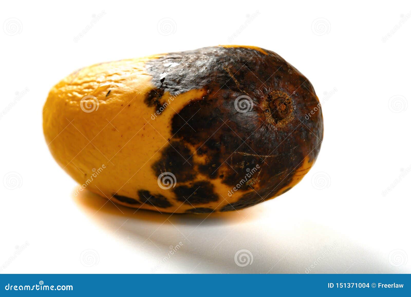 Rotten mango. Overripe Fruit on a white background.Isolated Stock Photo by  prosto_juli