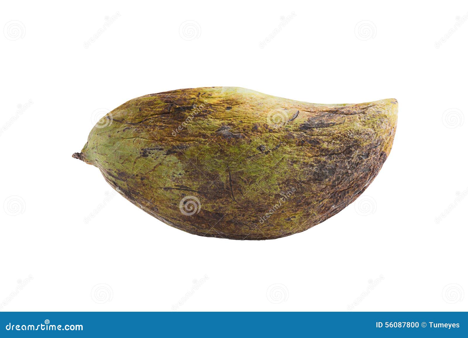 Rotten mango. Overripe Fruit on a white background.Isolated