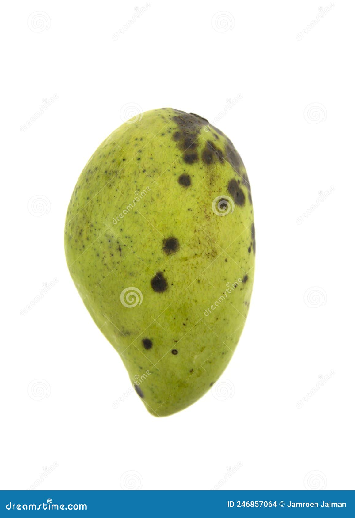 Rotten Mango On White Background Stock Photo 1460642162