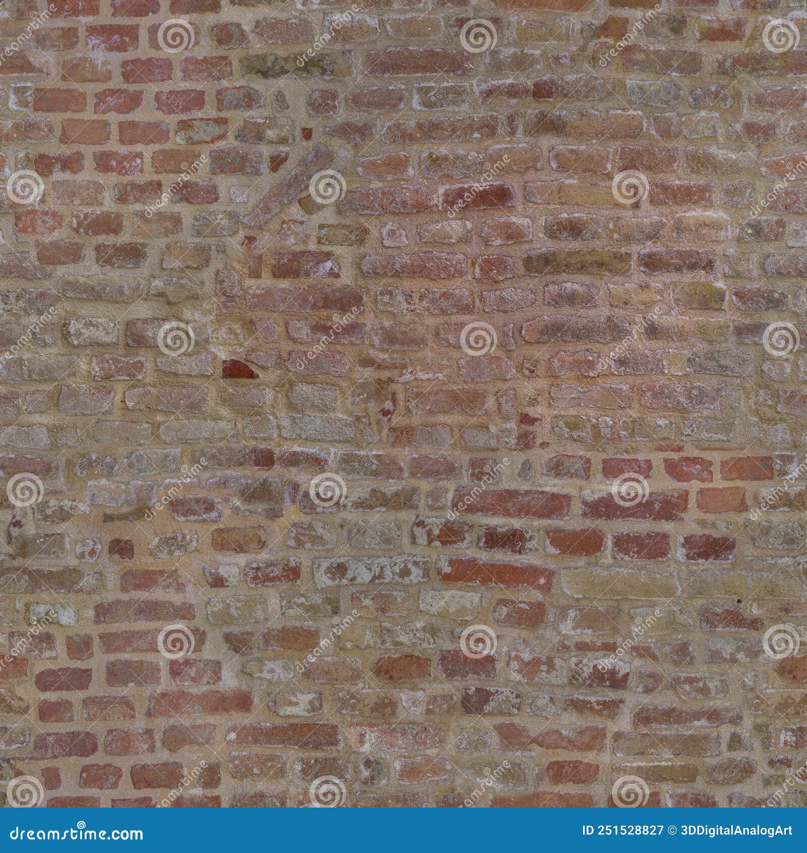 My Image 20