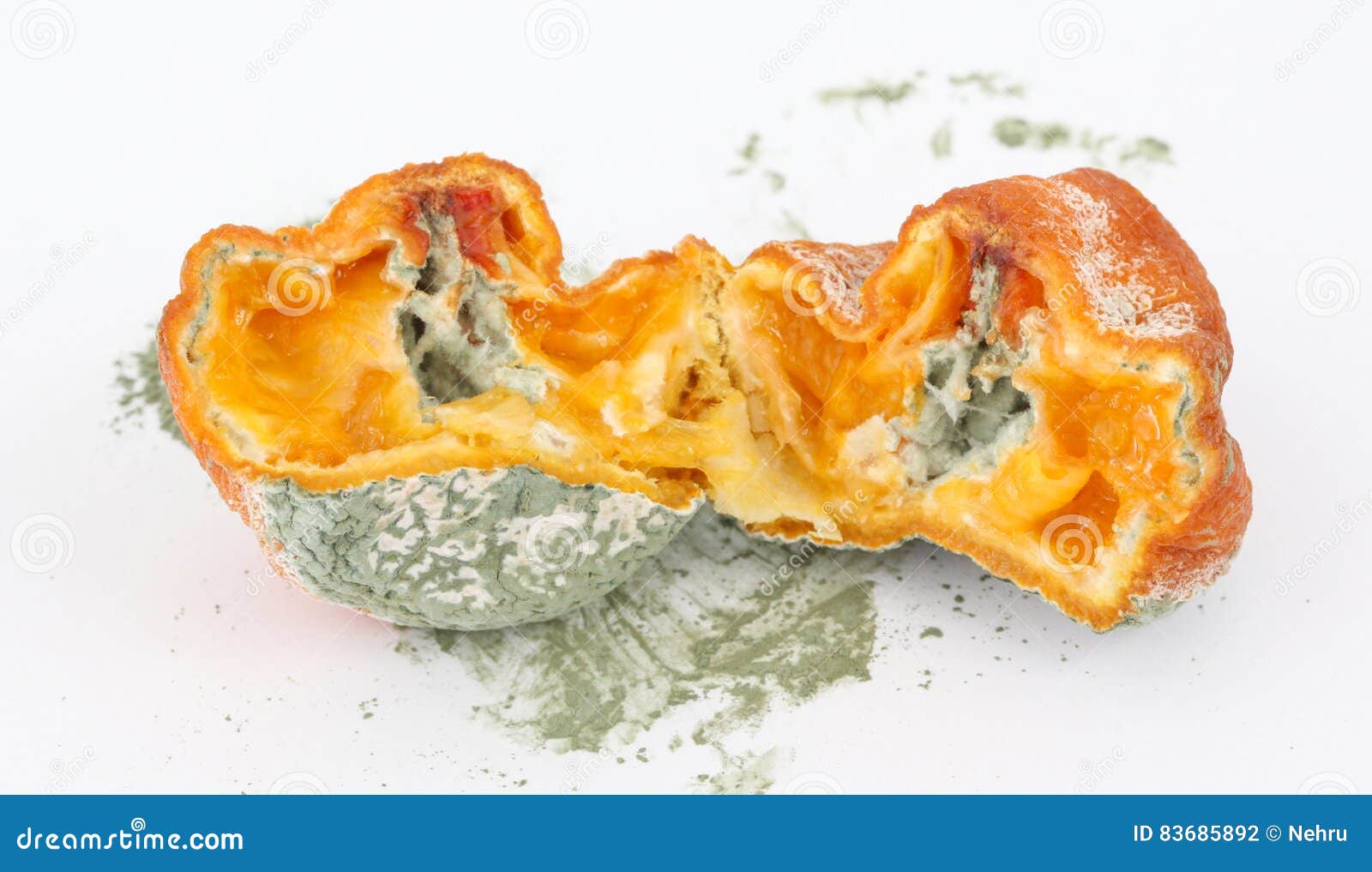 Rotten orange citrus stock photo. Image of mold, uneatable 83685892