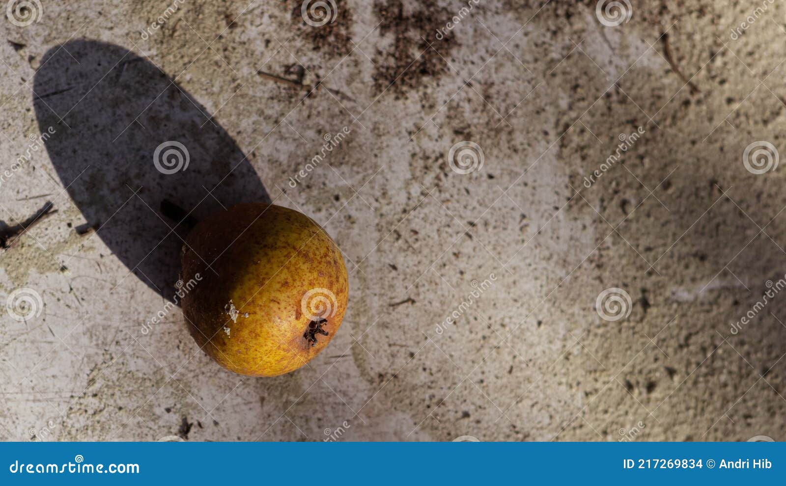 Rotten Pear on a Dirty Surface. Stock Photo Image of hand, plant