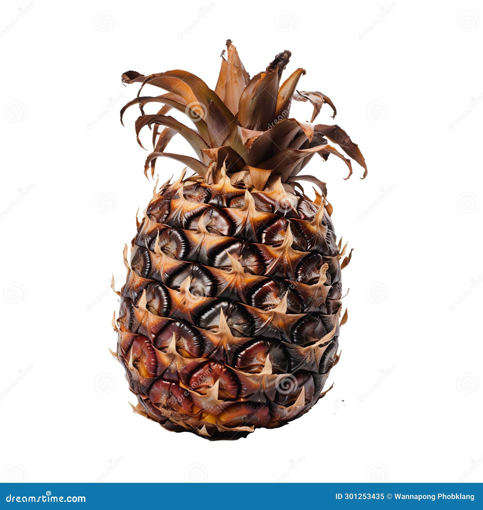 My Image 14