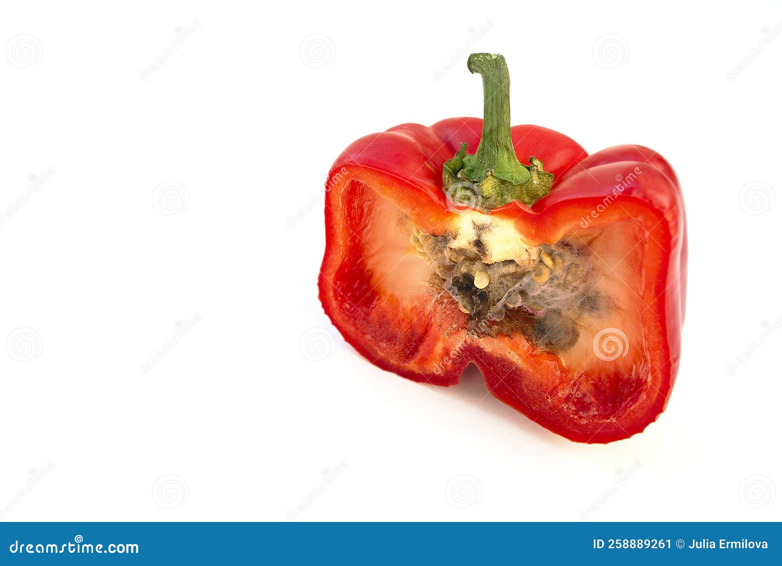 Rotten Red Bell Peppers on White Background. Stock Image Image of