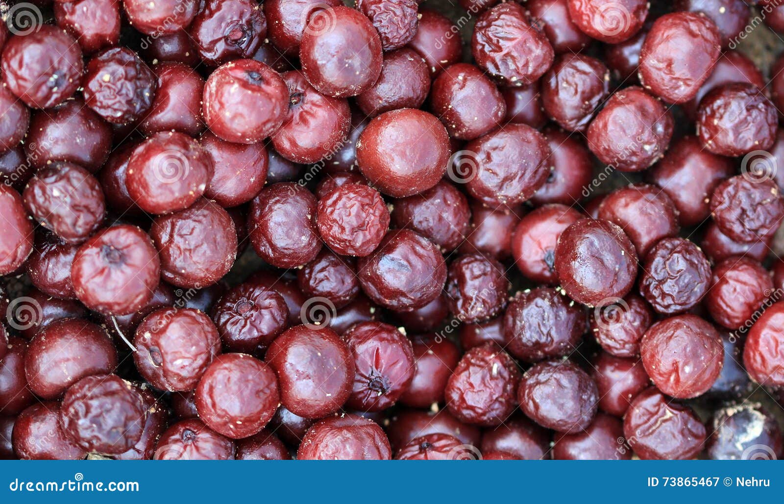 Rotten Sour Cherry Backgorund Stock Image - Image of garden, food: 73865467