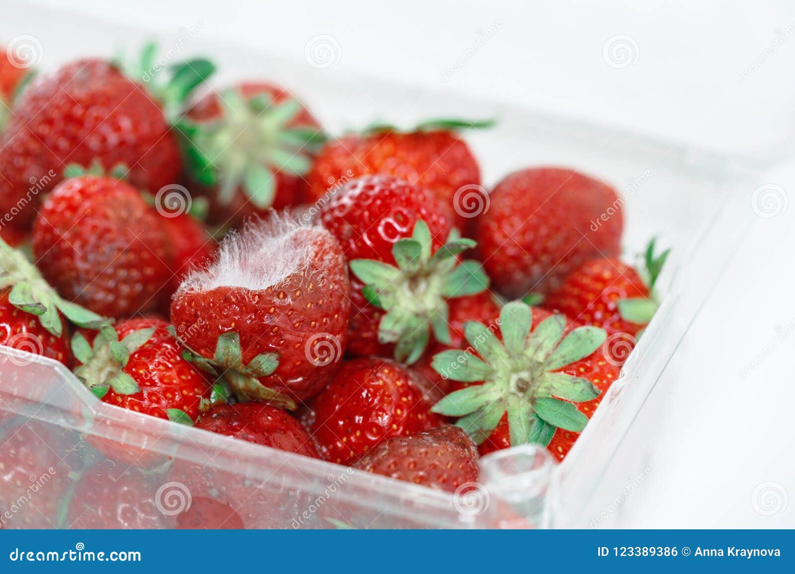 1,200+ Strawberry With Mold Stock Photos, Pictures & Royalty-Free