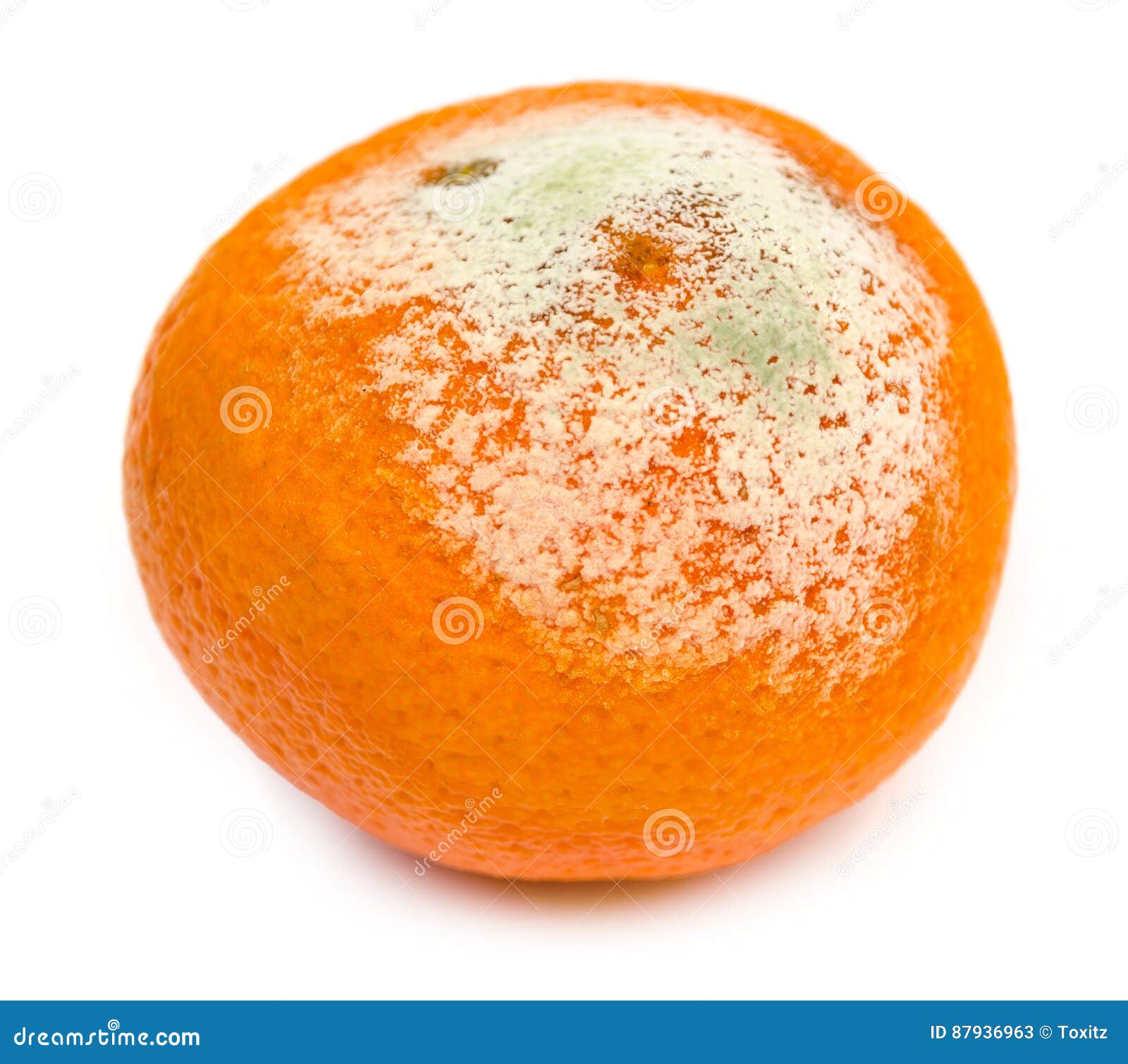 Rotten Tangerine With Mold, Spoiled. Isolated Stock Image Image of