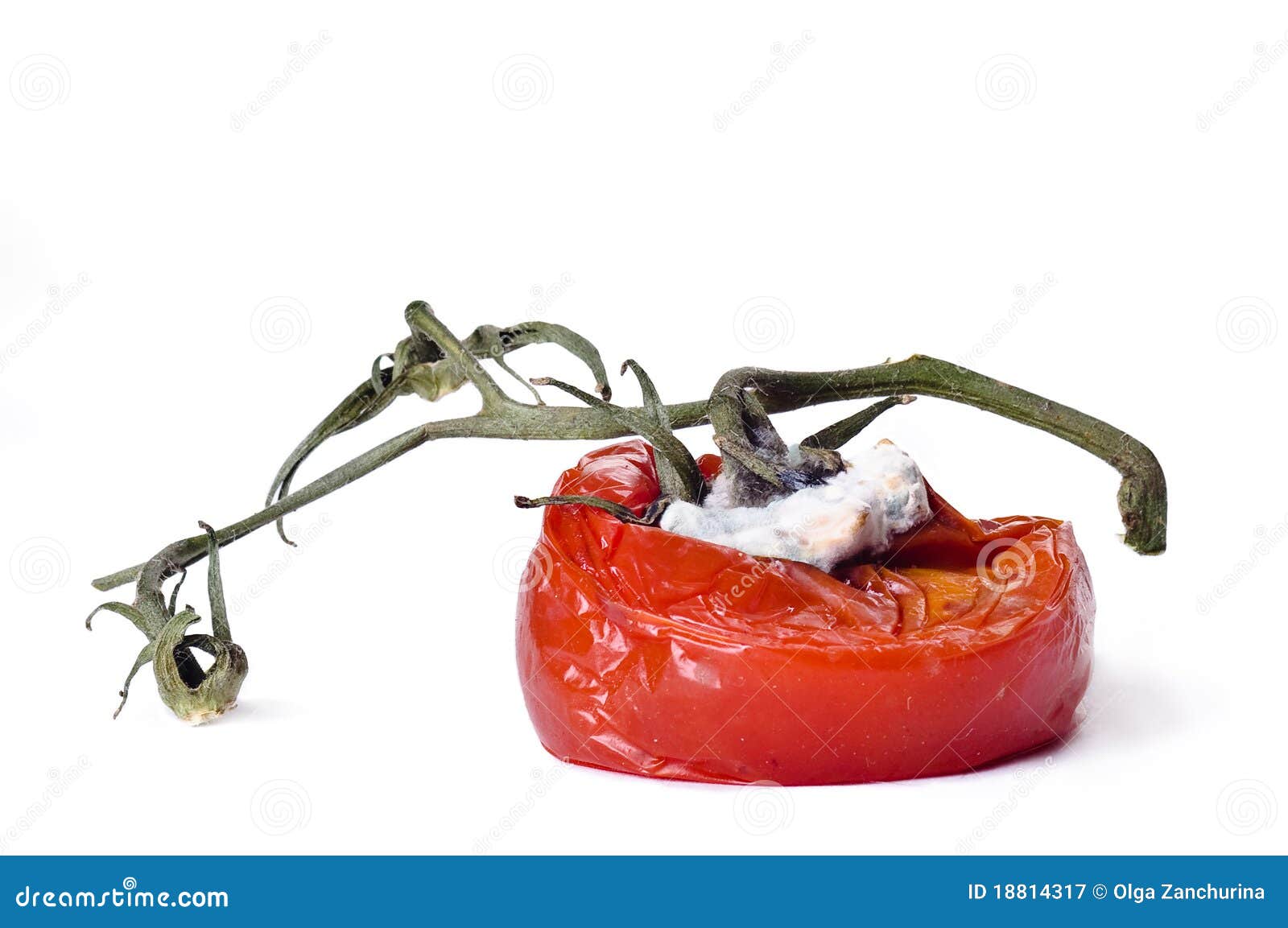 Rotten tomatoes stock image. Image of biological, food 18814317