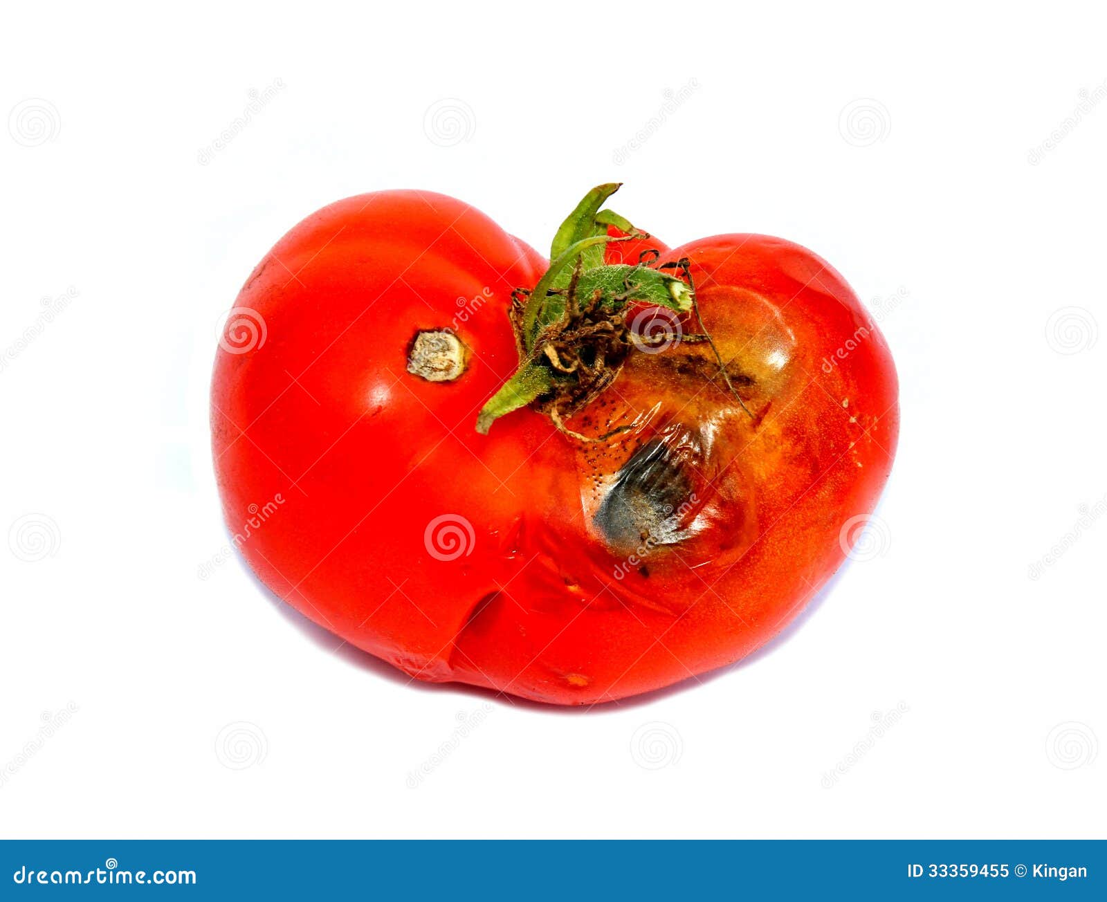 Rotten tomatoes isolated stock image. Image of isolated 33359455