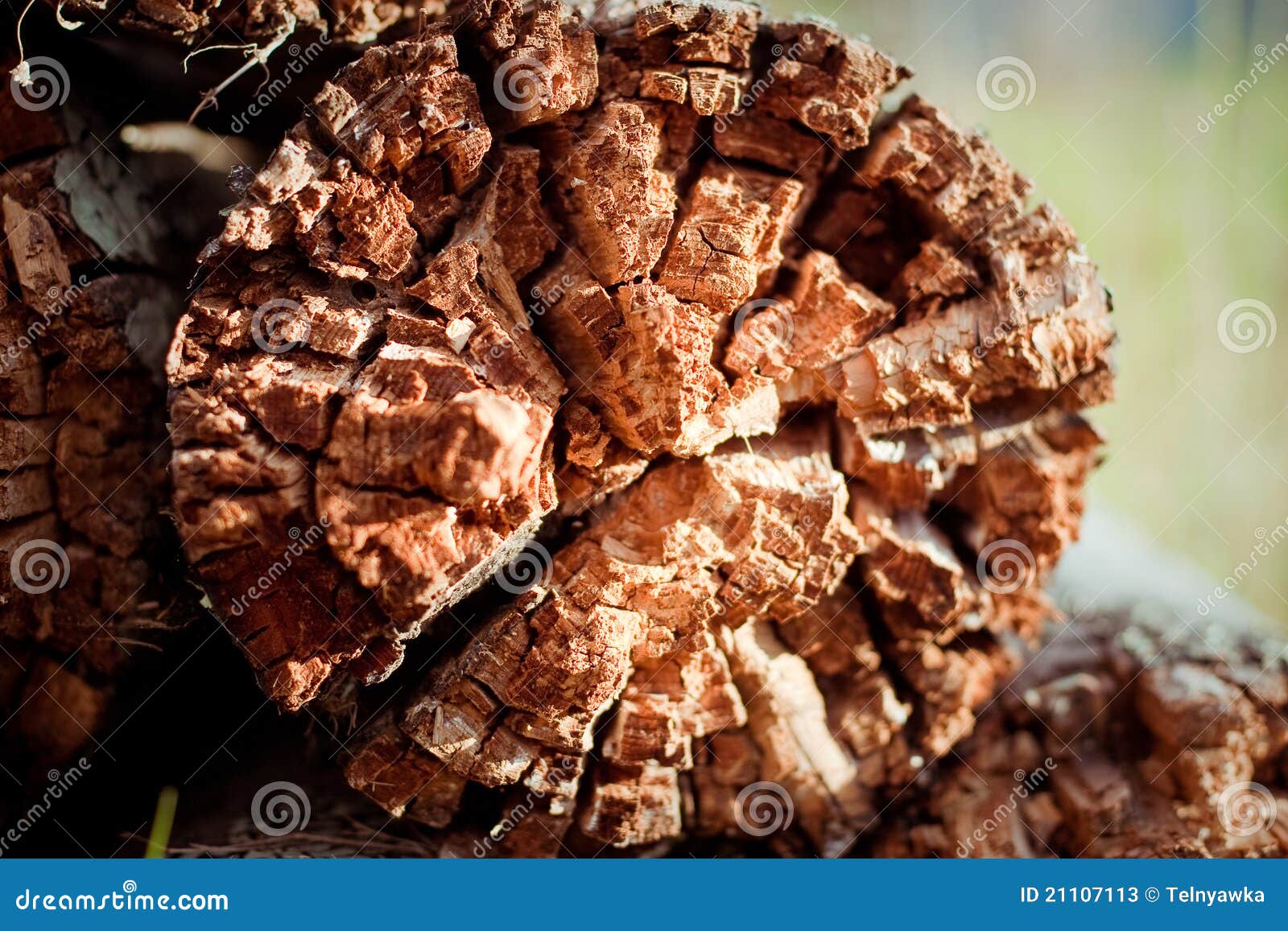 Rotten wood stock image. Image of lumber, brown, driftwood 21107113