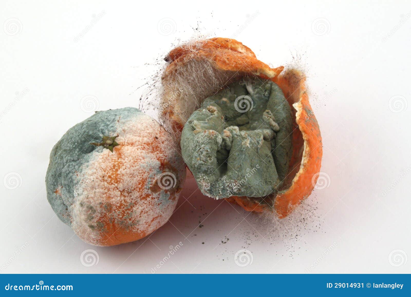 Rotting Fruit And Vegetables Stock Photo - Download Image Now - Rotting,  Food, Fruit - iStock