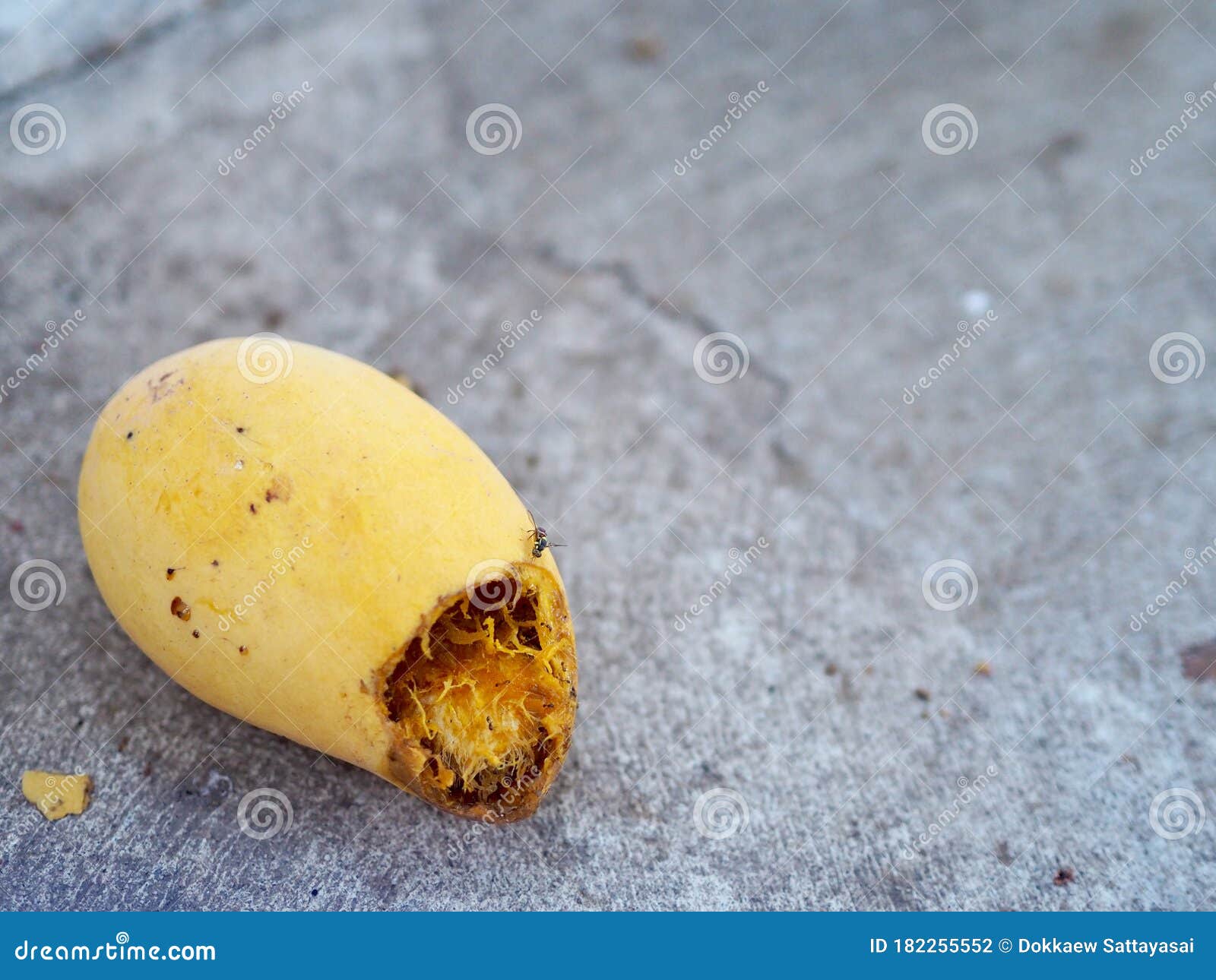 Rotten Mango Close On Grey Background Stock Photo 2348315849