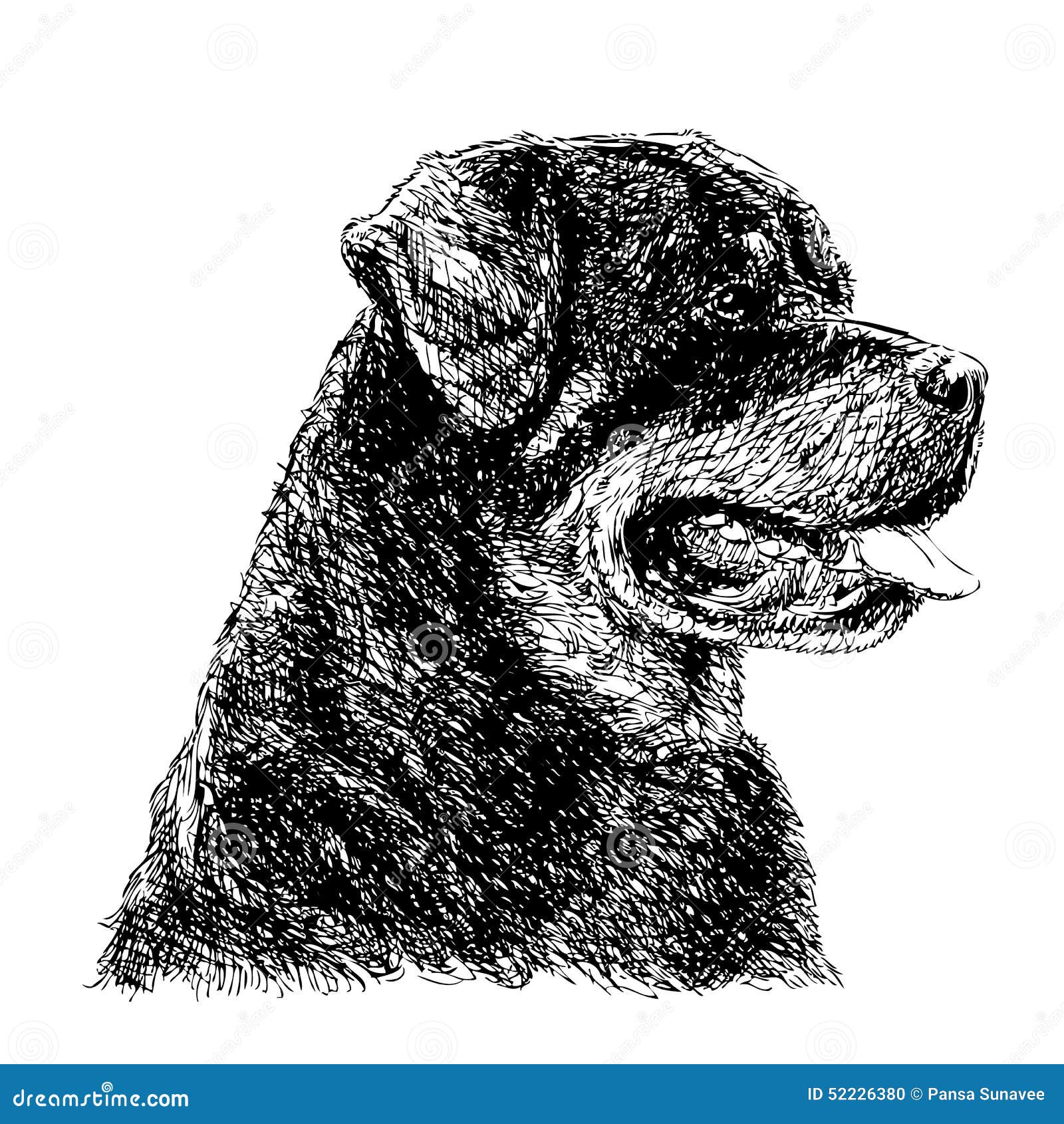 Rottweiler stock vector. Illustration of isolated, adorable - 52226380