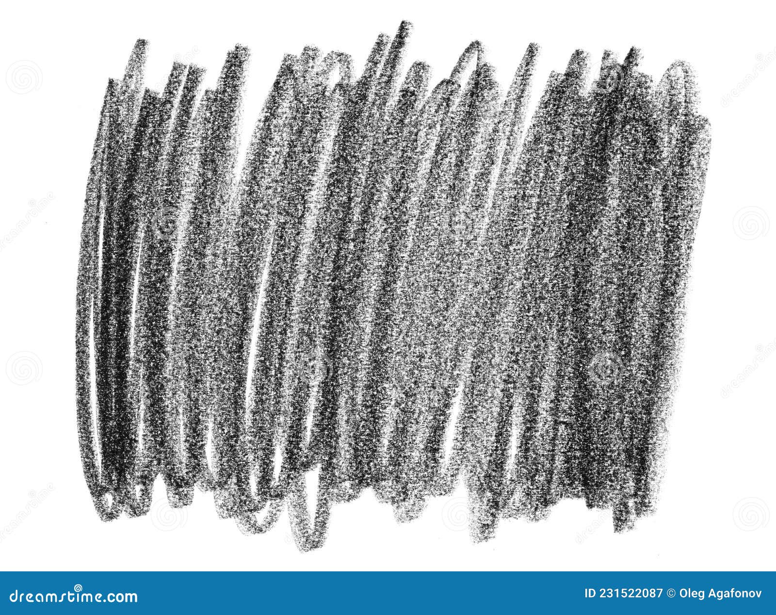 pencil drawing of a cute semi - fat british shorthair | Stable Diffusion