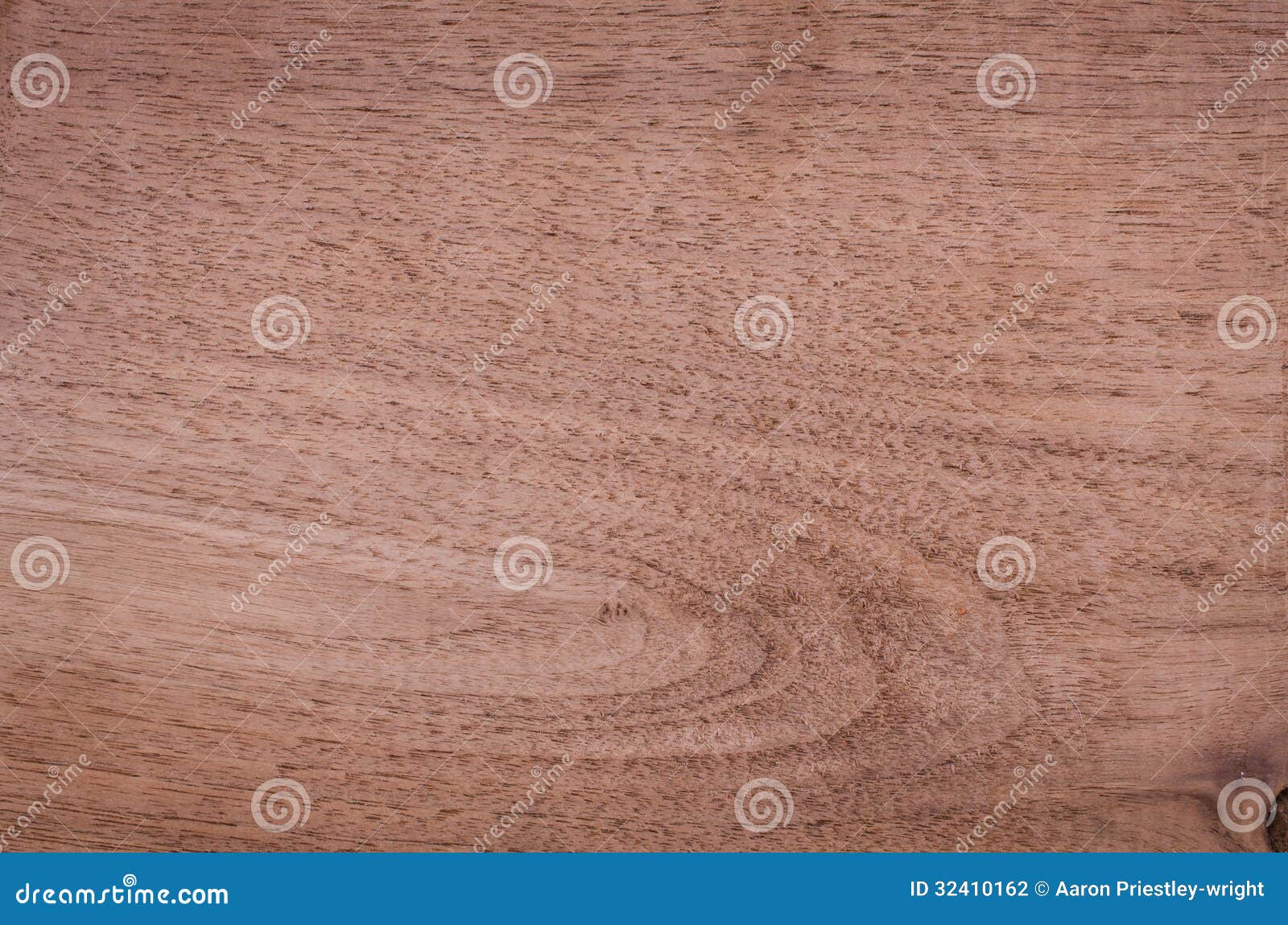 Rough Cut Black Walnut stock photo. Image of grain, macro 32410162