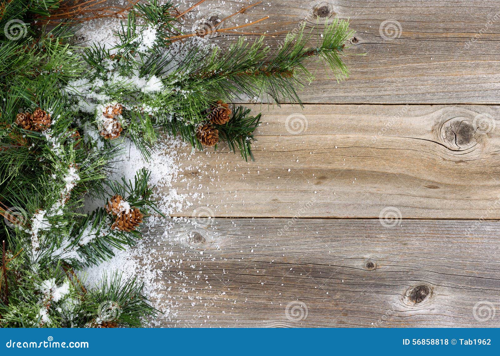 Rough Fir Branches Covered in Snow on Rustic Wooden Boards Stock Photo ...