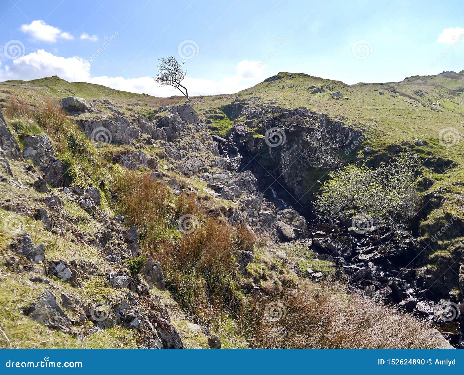 rough gulley showing nature and just some of it`s possibilities