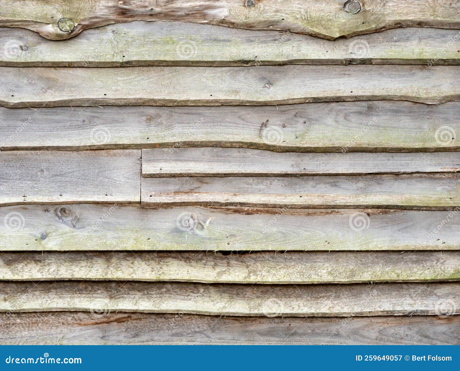 Rough Old Wood Siding with Green Mildew and Mold Stock Image Image of
