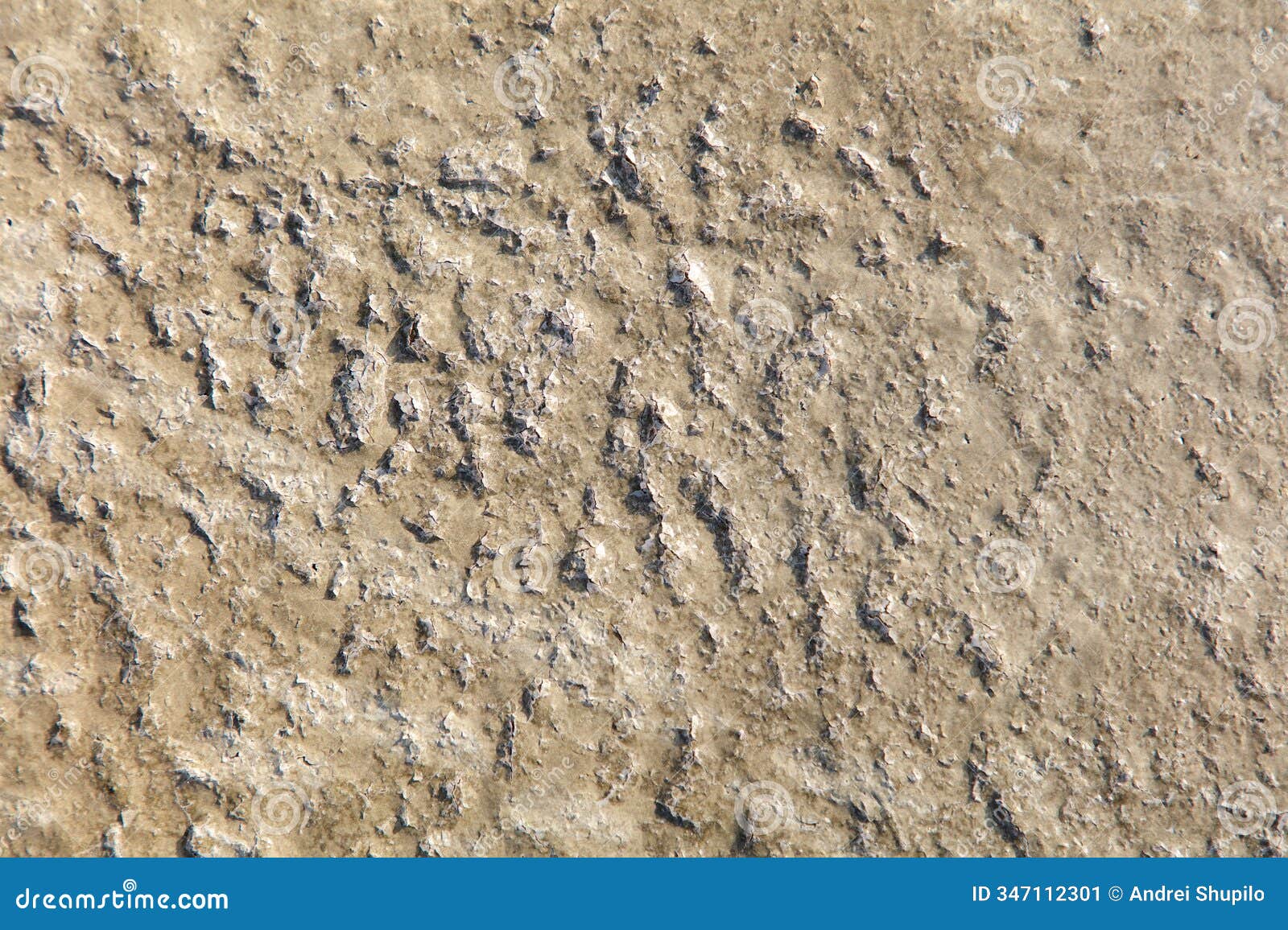 a rough, textured surface with many small bumps and holes