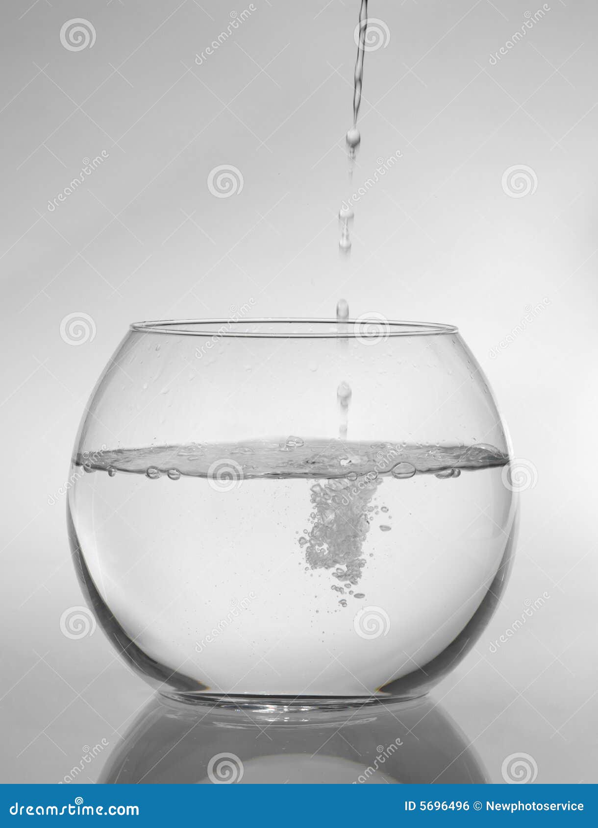 Round aquarium stock photo. Image of background, water 5696496