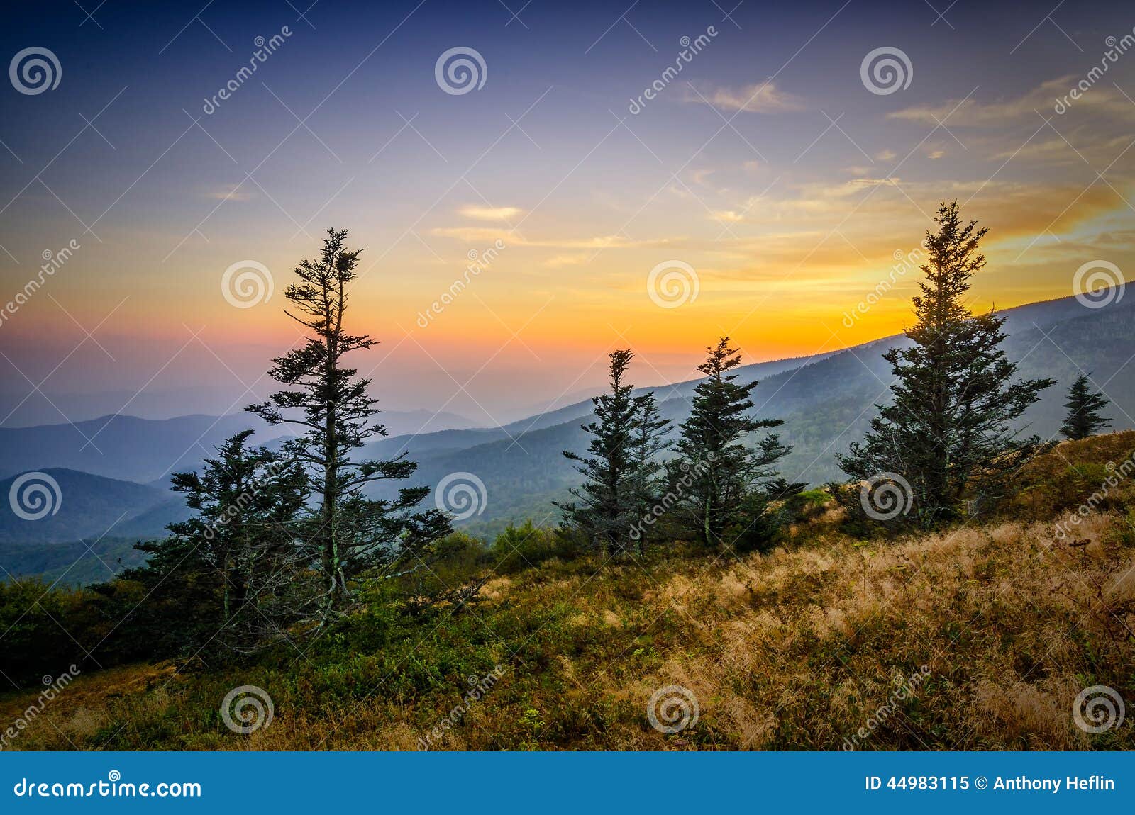 round bald sunset, roan mountain state park