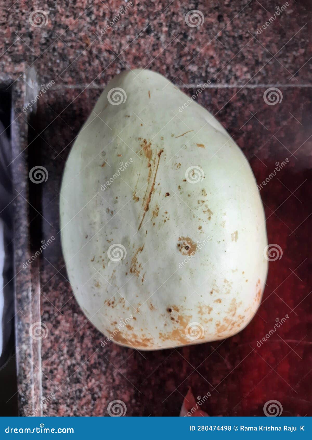 Round bottle gourd stock photo. Image of fruit, dish 280474498