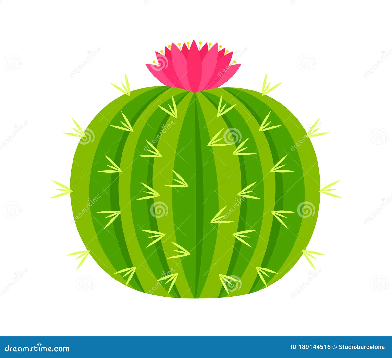 Round Cactus with Pink Flower Stock Vector - Illustration of