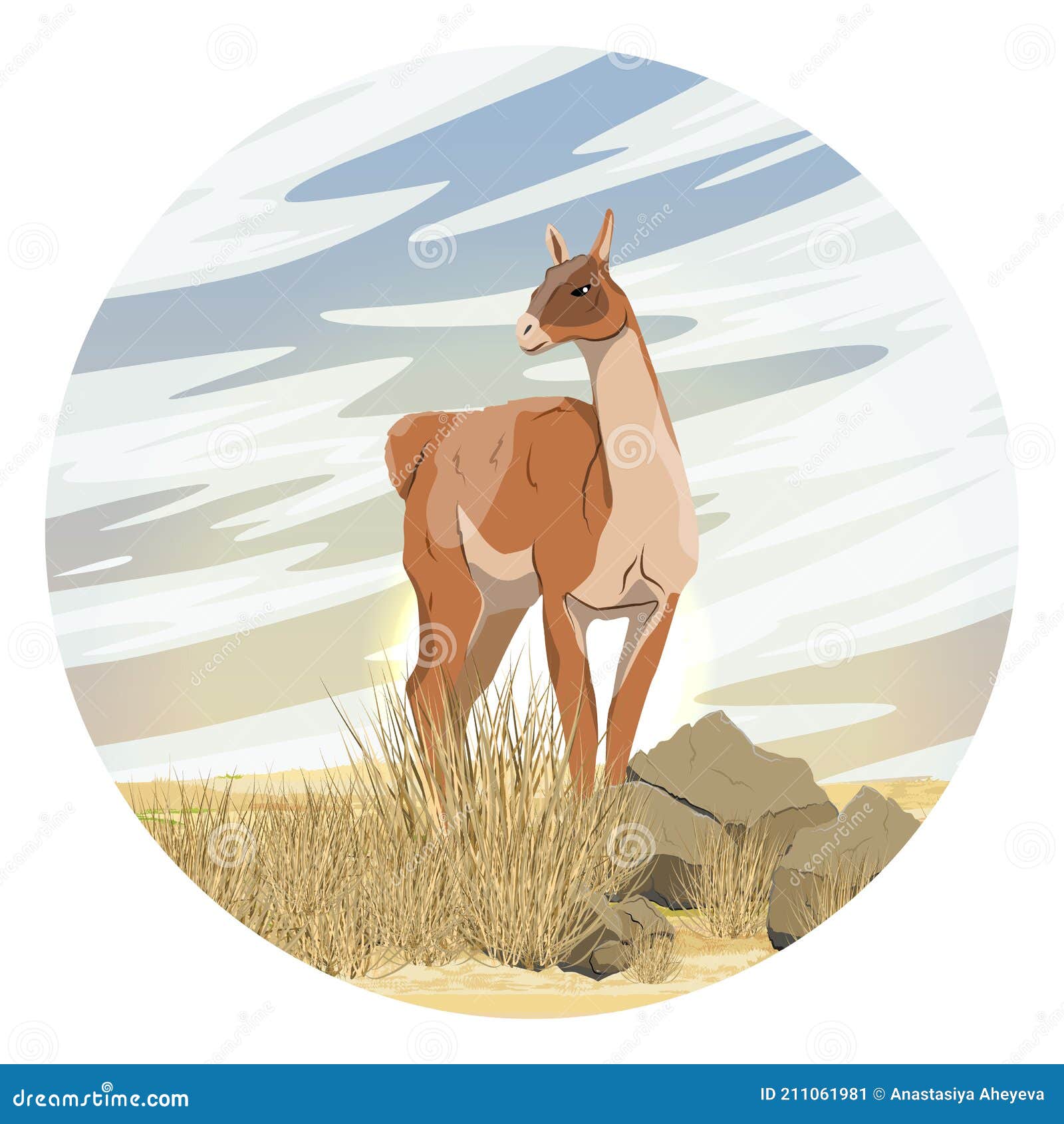 Round Composition. Lama Guanaco Stands in the Rocky Desert Against the Backdrop of the Sunset. Lama Guanicoe Stock Vector - Illustration of mountain, desert: 211061981 Round Composition. Lama Guanaco Stands in the Rocky Desert Against the Backdrop of the Sunset. Lama Guanicoe Stock Vector - Illustration of mountain, desert: 211061981