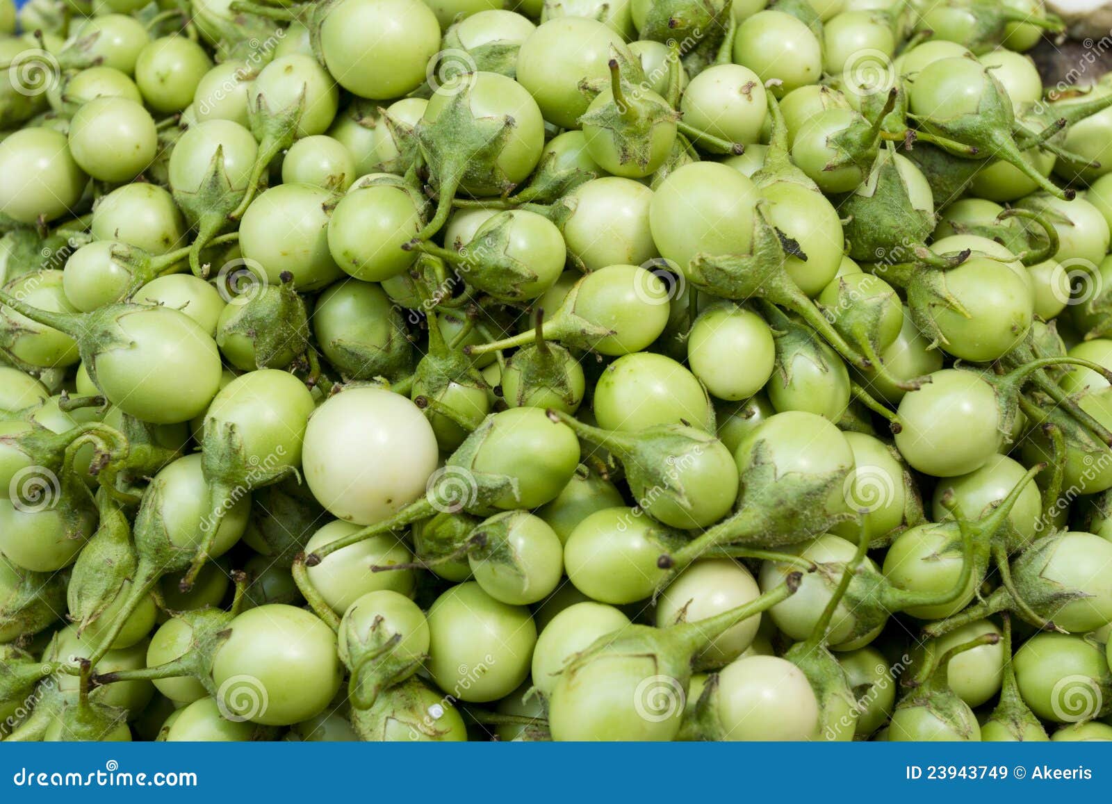 Round eggplant stock image. Image of culinary, nutrition 23943749