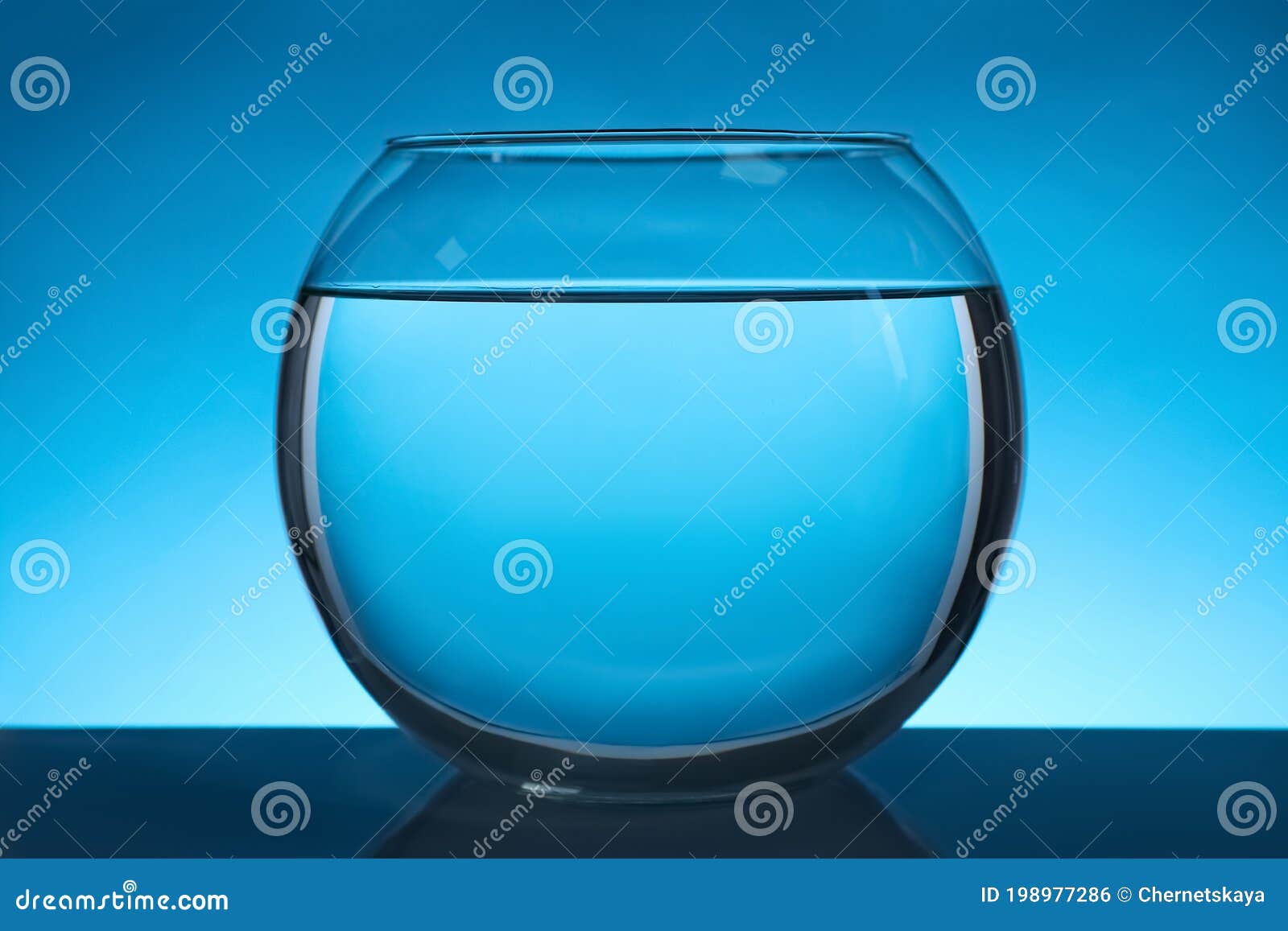 Round Fish Bowl Filled with Water on Blue Background Stock Photo