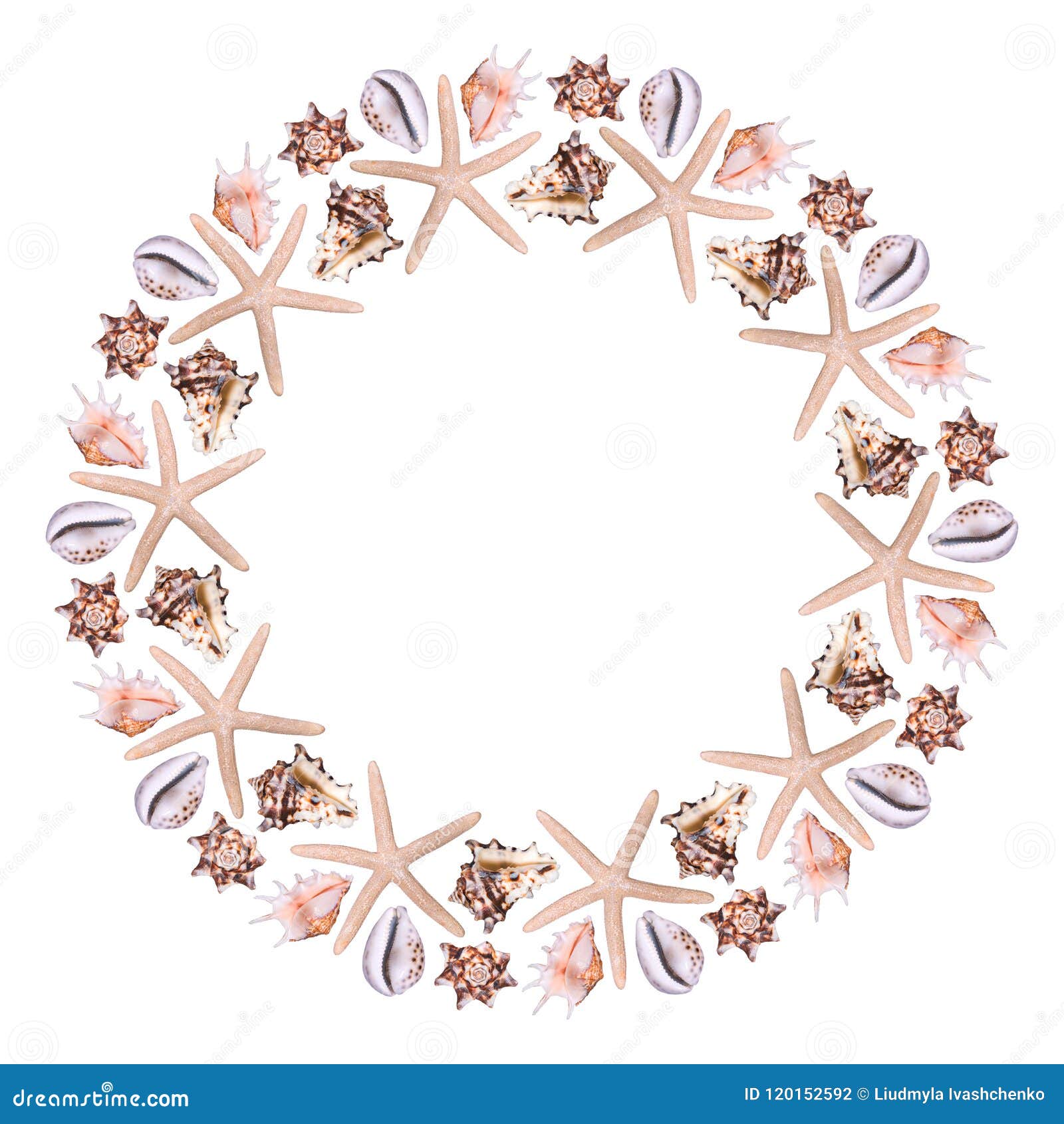 Round Frame From Different Sea Shells On A White Background Stock Photo